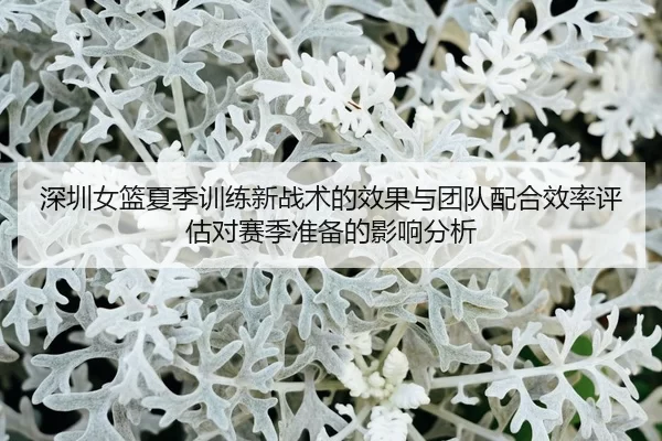 shen-zhen-nv-lan-xia-ji-xun-lian-xin-zhan-shu-de-xiao-guo-yu-tuan-dui-pei-he-xiao-lv-ping-gu-dui-sai-ji-zhun-bei-de-2-155.jpg