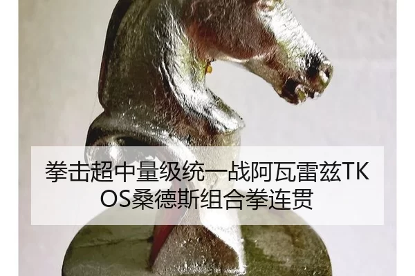 quan-ji-chao-zhong-liang-ji-tong-yi-zhan-a-wa-lei-zi-sang-de-si-zu-he-quan-lian-guan-2-137.jpg