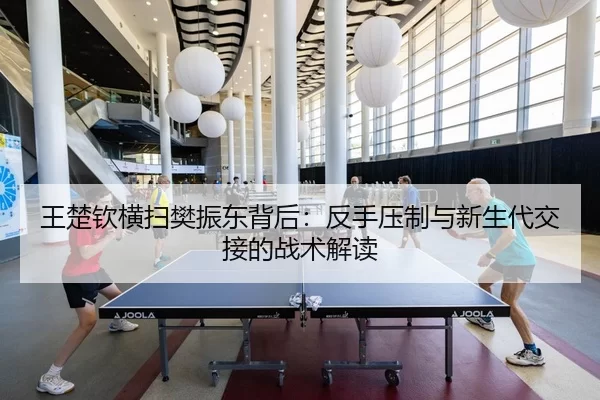 wang-chu-qin-heng-sao-fan-zhen-dong-bei-hou-fan-shou-ya-zhi-yu-xin-sheng-dai-jiao-jie-de-zhan-shu-jie-du-2-106.jpg